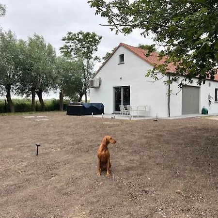 Casa Terra - Landelijk Met Jacuzzi En Ir-sauna Pensión